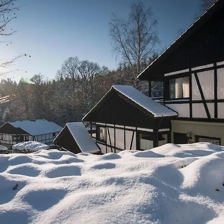 Holiday home Ferienhaus Ahorn - #125775 *