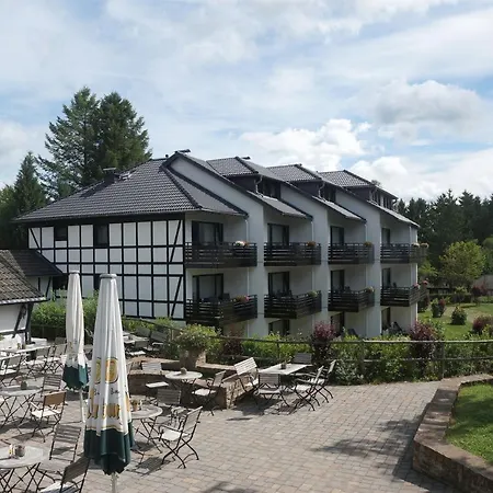 Holiday home Ferienhaus Ahorn - #125775